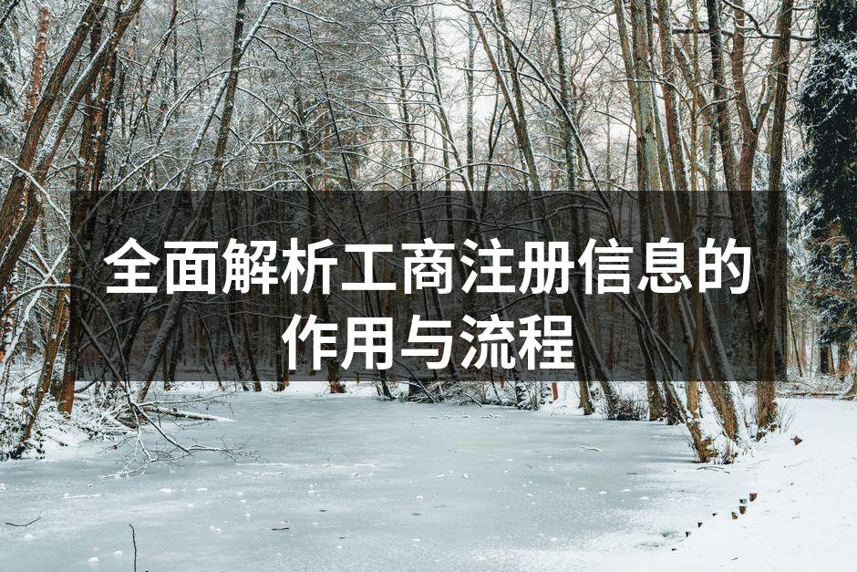 全面解析工商注册信息的作用与流程