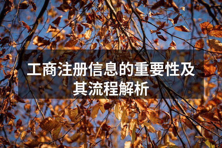 工商注册信息的重要性及其流程解析