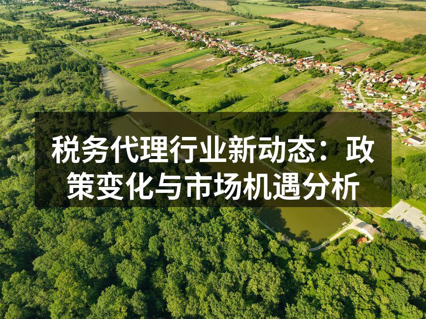 税务代理行业新动态：政策变化与市场机遇分析