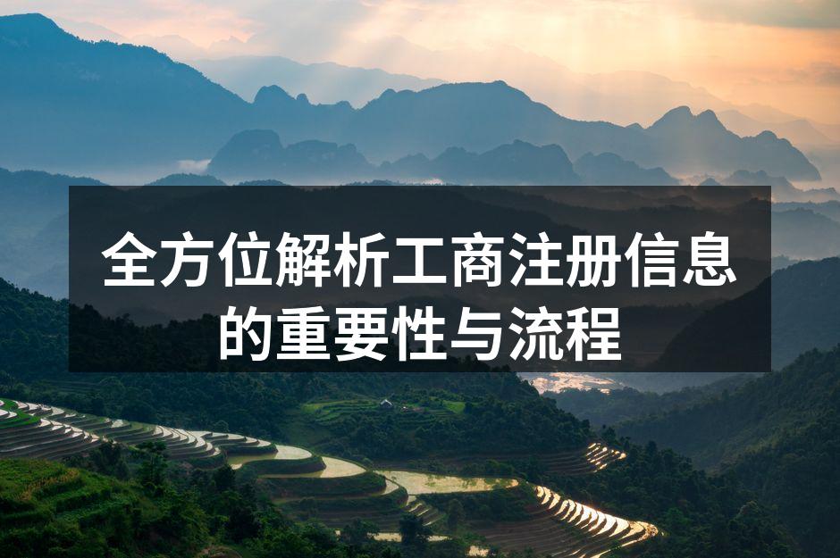全方位解析工商注册信息的重要性与流程