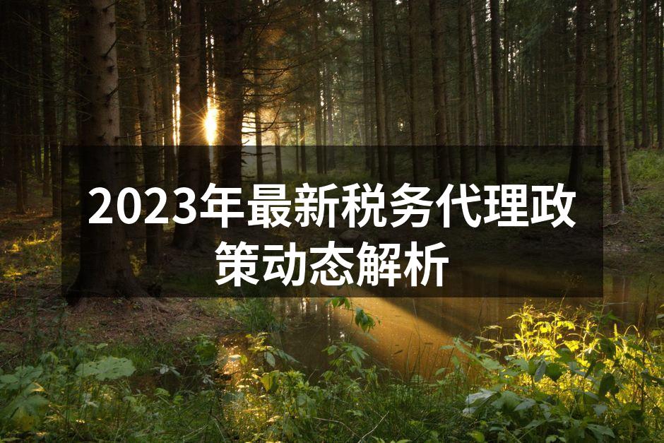 2023年最新税务代理政策动态解析