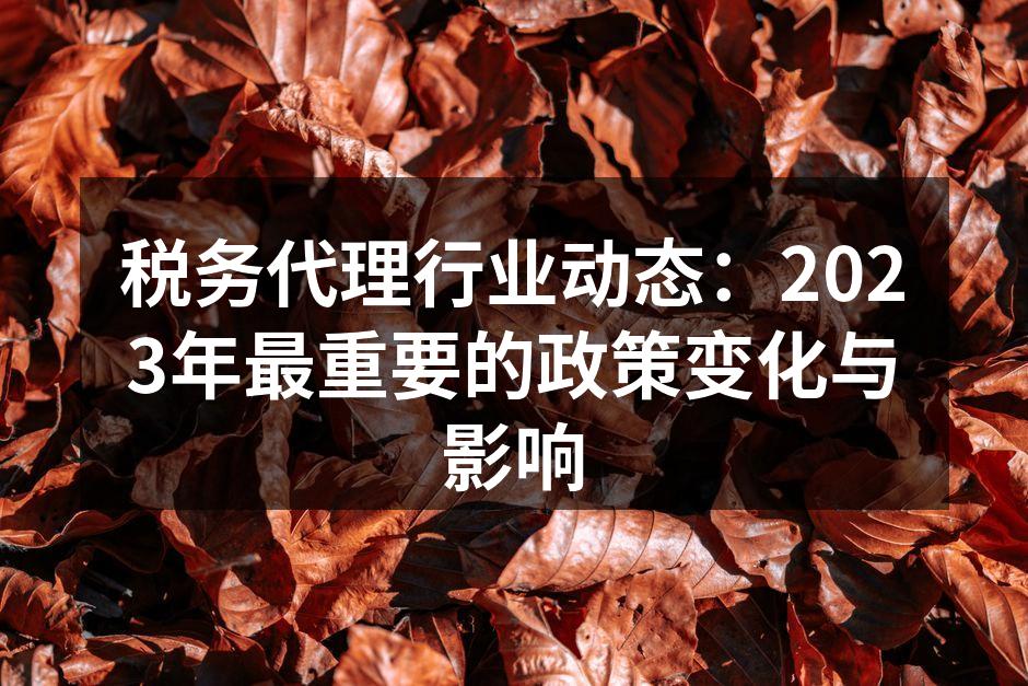 税务代理行业动态：2023年最重要的政策变化与影响