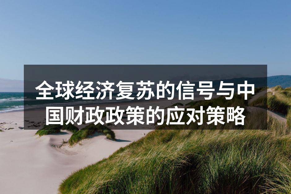 全球经济复苏的信号与中国财政政策的应对策略